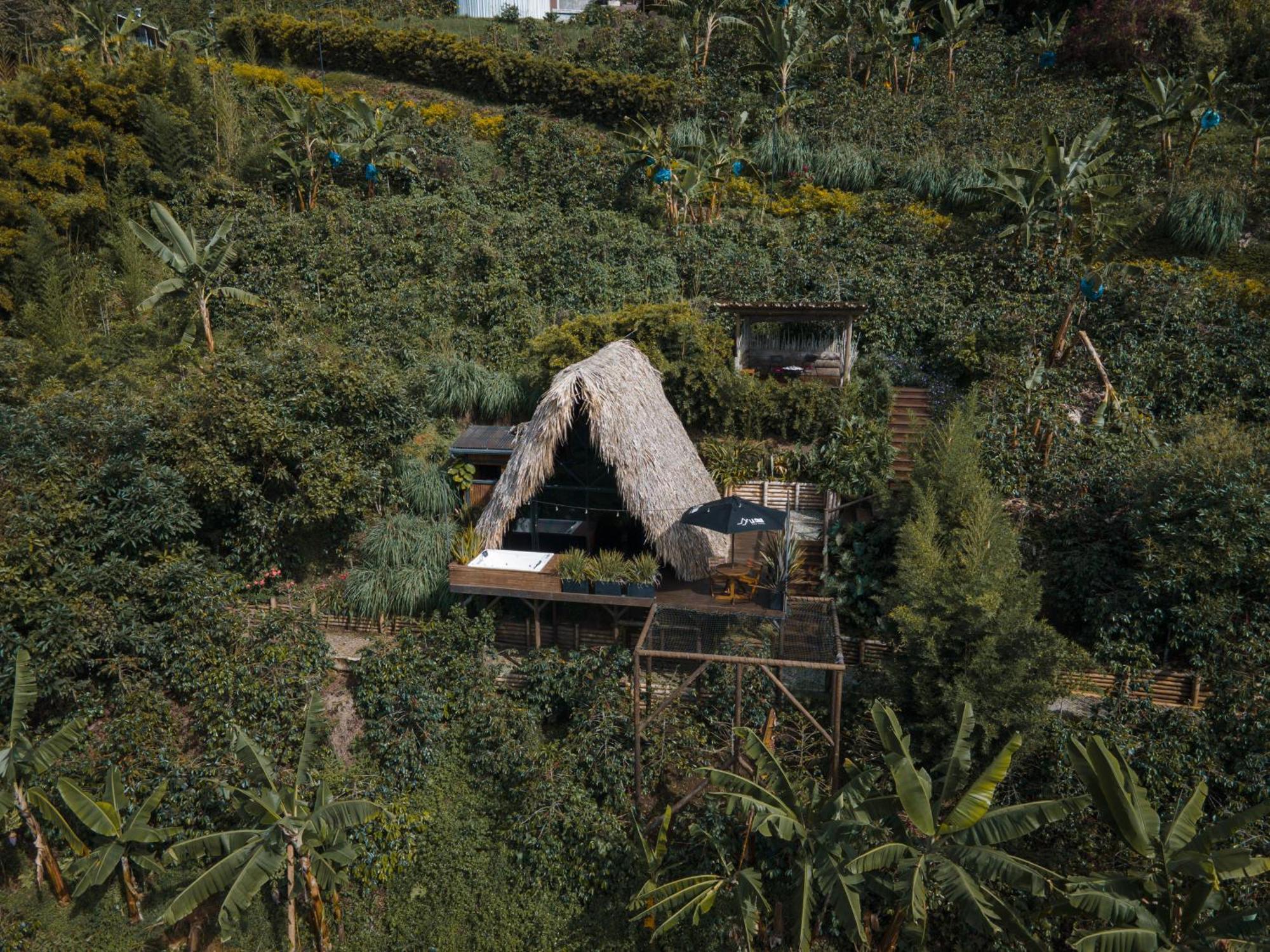 La Cima Eco 5* Buenavista (Quindio)