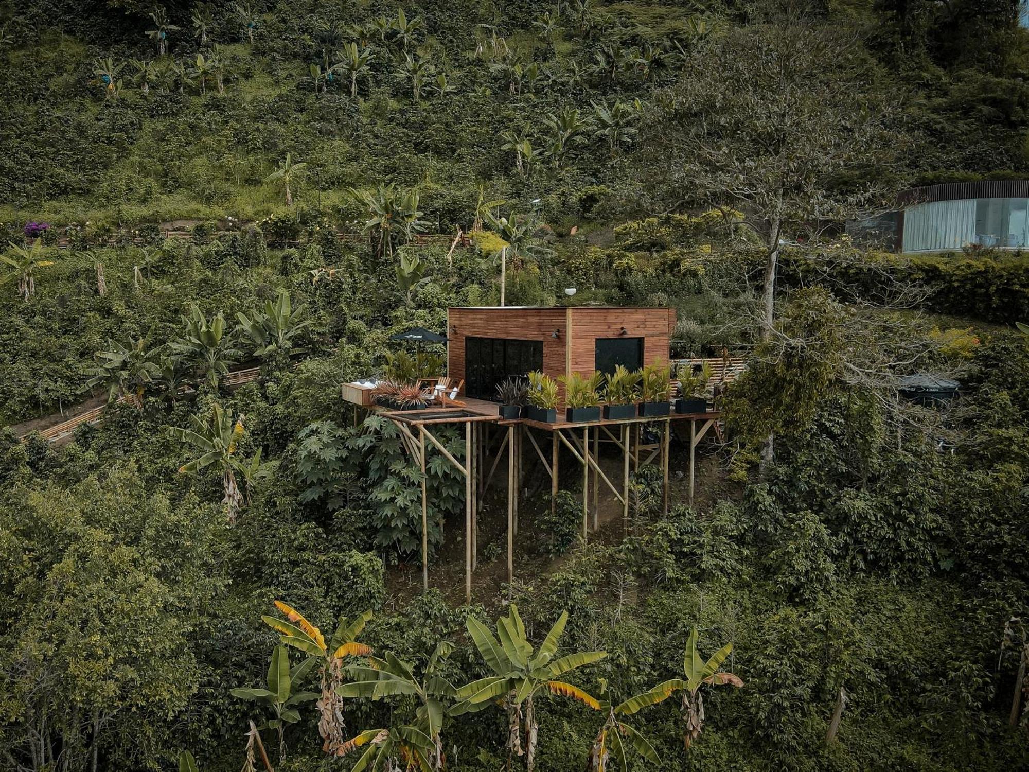Hotel La Cima Eco