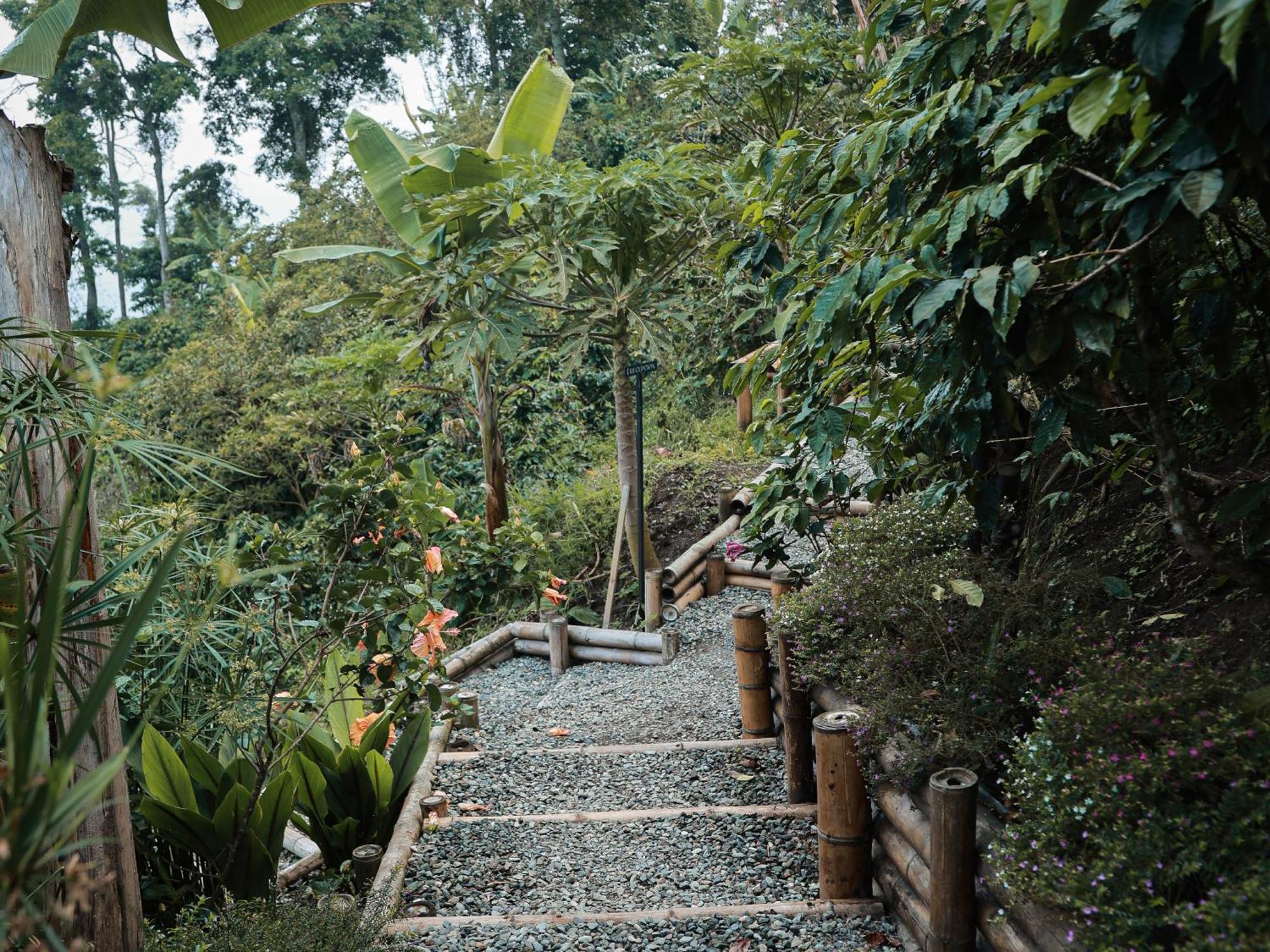 La Cima Eco 5*