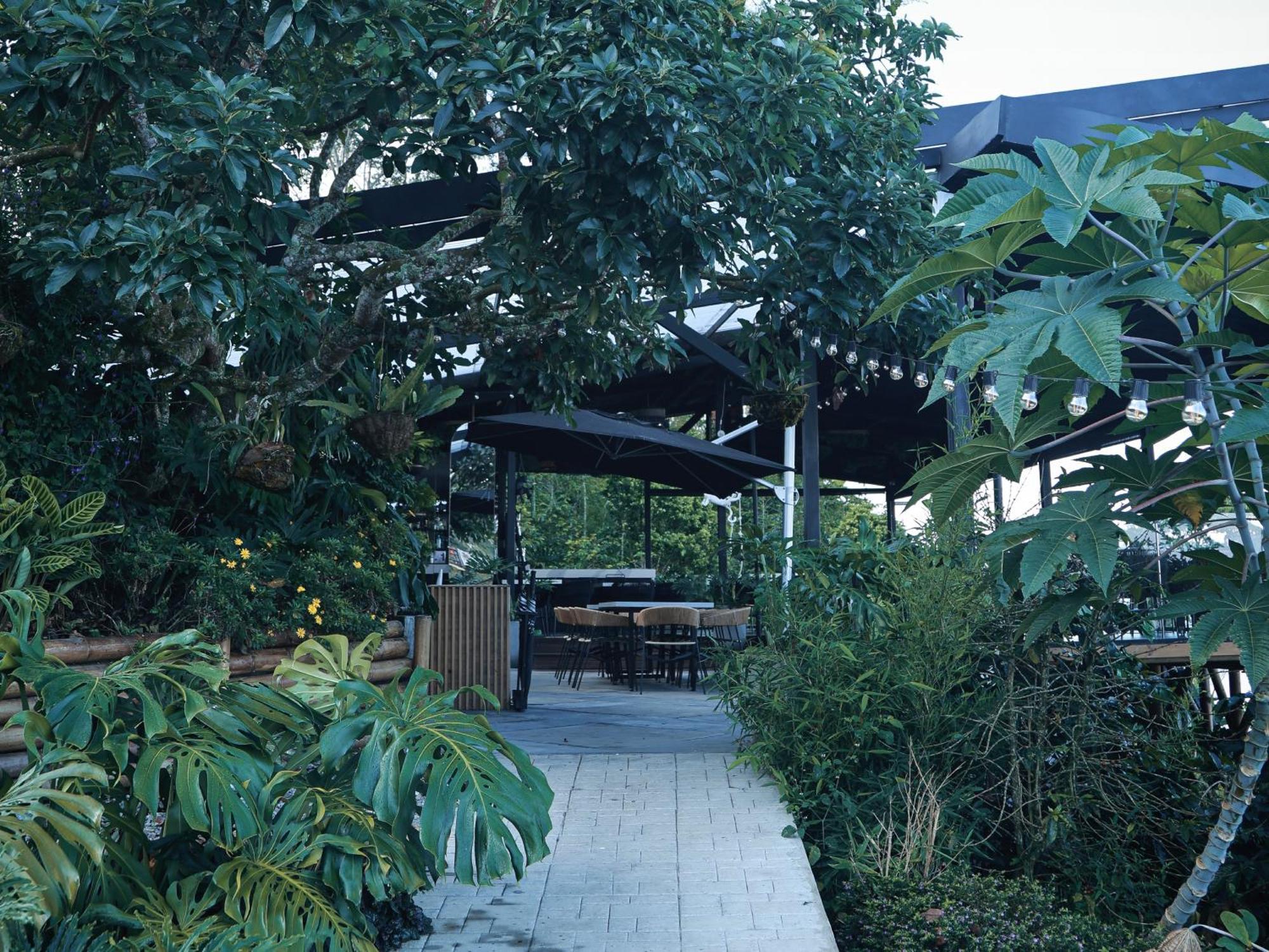 La Cima Eco 酒店 Buenavista (Quindio)