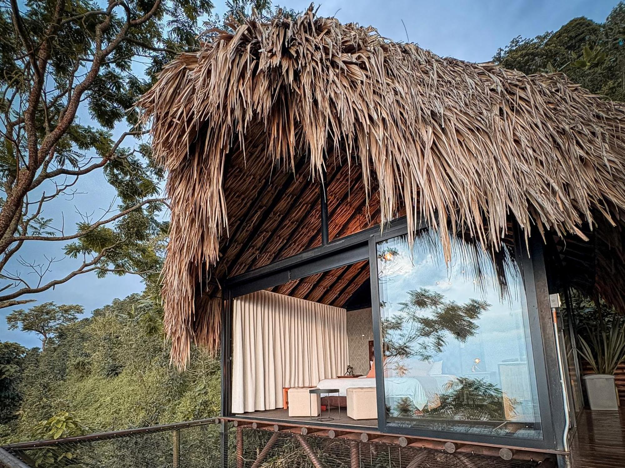 La Cima Eco 5* Buenavista (Quindio)