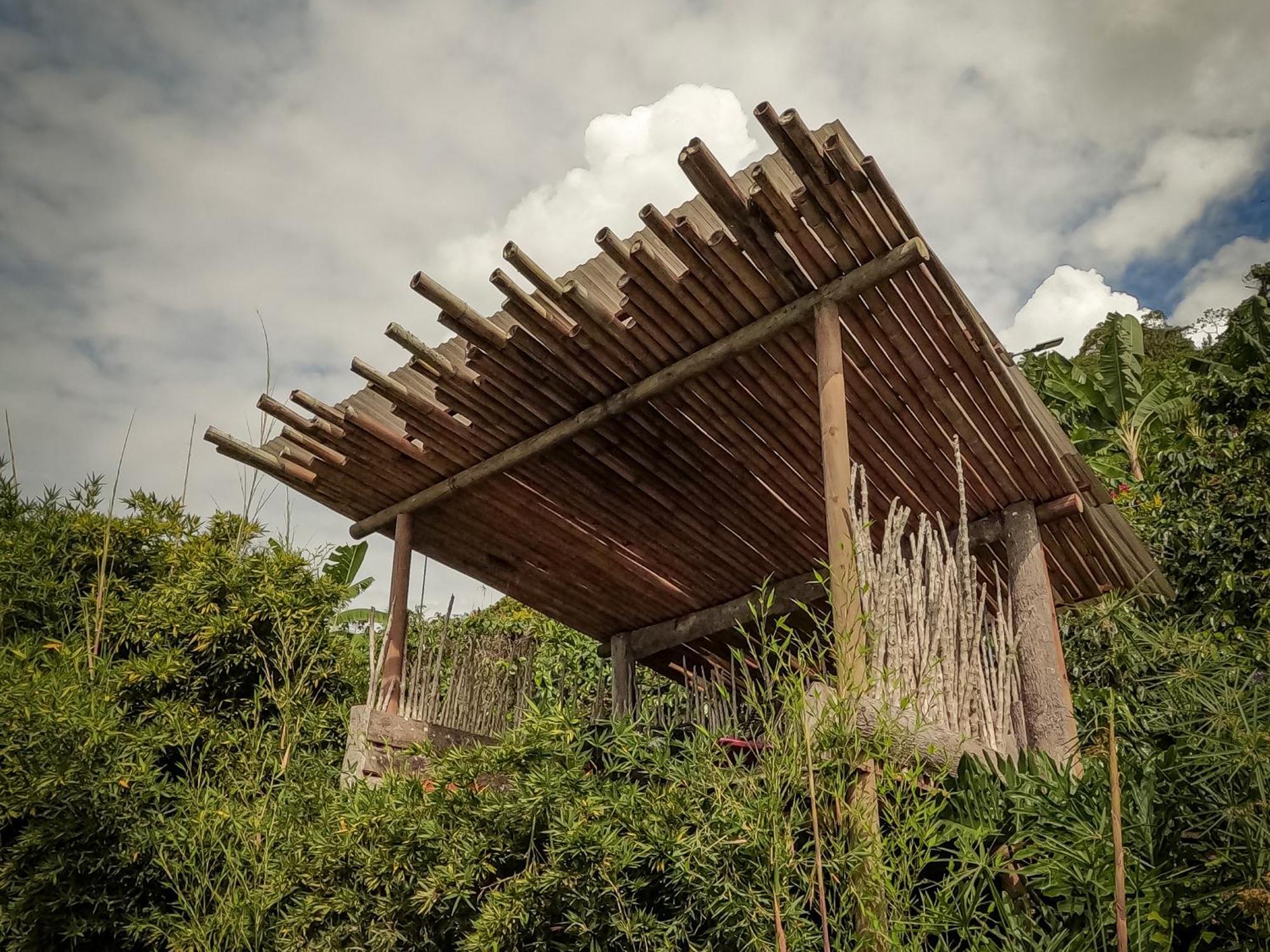 酒店 La Cima Eco Buenavista (Quindio)